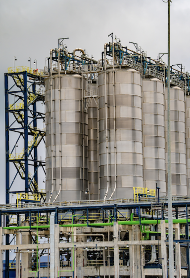 Screenshot-2025-07-31-at-09.05.59